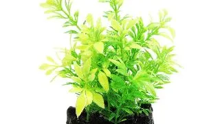 Resun Planta Plastic Bush Green 10 cm