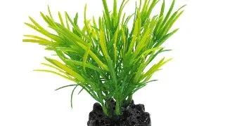 Resun Planta Plastic Sea Grass Green/Yellow 10 cm