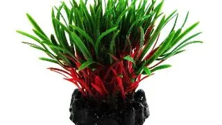 Resun Planta Plastic Sea Grass Red/Green 10 cm