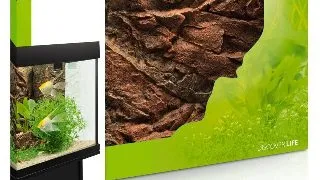 Juwel Decor Cliff Dark