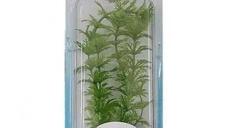 Tetra Planta Decoart Ambulia Xl 38 Cm