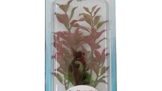 Tetra Planta Decoart Red Ludwigia M 23 Cm