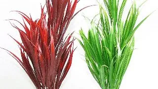 Sydeco Plante Sword Plant 25cm 113