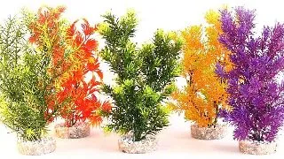 Sydeco Planta Jungle Medium 22 Cm