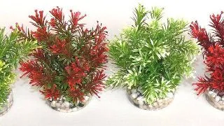 Sydeco Plante Jungle Small 15cm 633