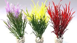 Sydeco Plante Sea Grass Baby 16cm 646
