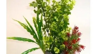 Sydeco Planta Tropic Large 349808