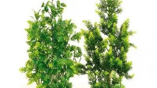 Sydeco Planta Aquaplant Giant 50 Cm 706