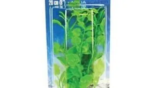 Marina Plante Marina Cardamine 30 cm PP1205