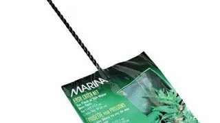 Marina Minciog Negru 10 cm