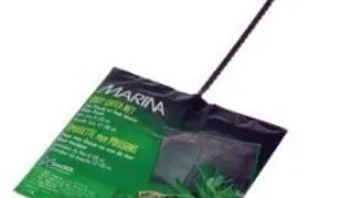 Marina Minciog Negru 8 cm
