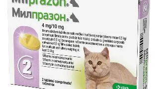 Milprazon Pisica, 2 tablete
