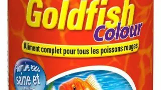 Tetra Goldfish Color Sticks 100 Ml
