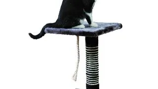 Trixie Ansamblu Viana Antracit 44 cm