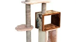 Pet Expert Ansamblu Happy Cat SBE1401
