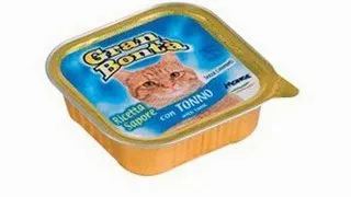 Gran Bonta Cat Pate Ton 100 g