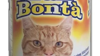 Gran Bonta Cat Cons Carne 400 g