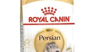 Royal Canin Felin Persian - 10-kg