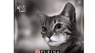 Pro Plan Cat Light Turkey/Rice 10 kg
