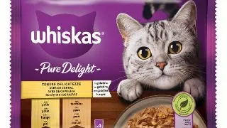Whiskas Plic Casserole Selectii Pui/Curcan 4 X 85 g