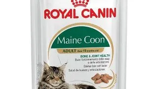 Royal Canin Felin Plic Mainecoon 85 g
