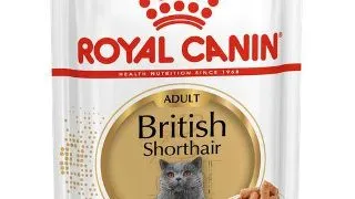 Royal Canin Felin Plic British Shorthair 85 g