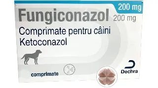 Fungiconazol, 10 tablete
