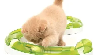 Catit Jucarie Play Circuit Senses 2.0 43154W