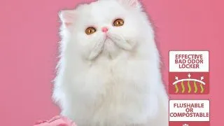 Crystal Cat Asternut Vegetal Tofu Trandafir 5 L