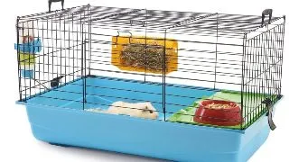 Pet Expert Cusca Rody De Luxe 80 cm Blue