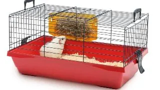 Pet Expert Cusca Rody Basic 58 cm