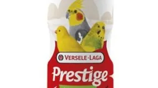 Versele Laga Nisip de Scoici 2 Kg