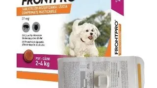FrontPro, 1 tableta