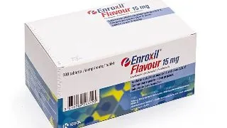 Enroxil Flavour, 10 tablete