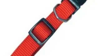 Zgarda Nylon 15 mm