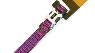 Walkit Zgarda Caine Tubular Multicolor L 2.5 X 40-66 cm Violet
