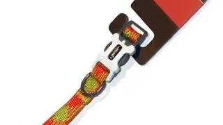 Walkit Zgarda Caine Tubular Multicolor M 2.0 X 35-50 cm Orange