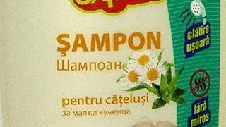 Pet Expert Sampon Puppy 300 ml