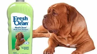 Fresh'N Clean Sampon Medi-Clean 533 ml