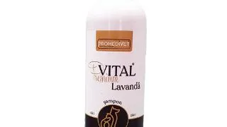 Promedivet Premium Vital Sampon Lavanda 250 ml