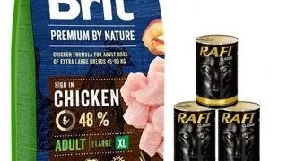 BRIT Premium By Nature Adult Extra Large XL 15 kg + hrana in sos 6x1240 g