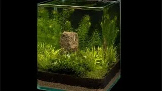 Acvariu Dennerle Nano Cube 10l