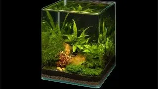 Acvariu Dennerle Nano Cube 20l
