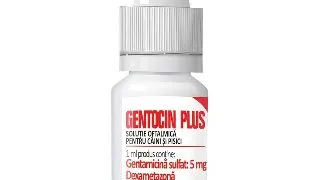 Gentocin Oftalmic Plus, 7.5ml