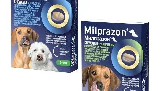 Milprazon Chewable Caine, 1 tableta