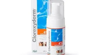 Clorexyderm Spuma 4%, 100 ml