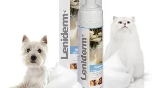 Leniderm Spuma, 200ml