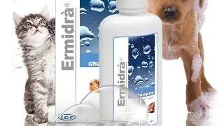 Ermidra Sampon, 250ml