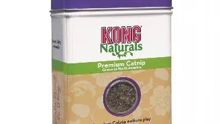 KONG Catnip