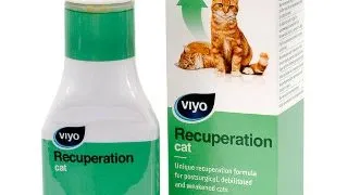 Viyo Recuperation Pisica, 150ml